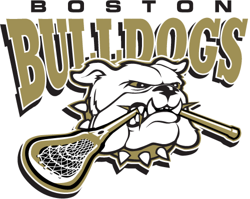 boston bulldogs