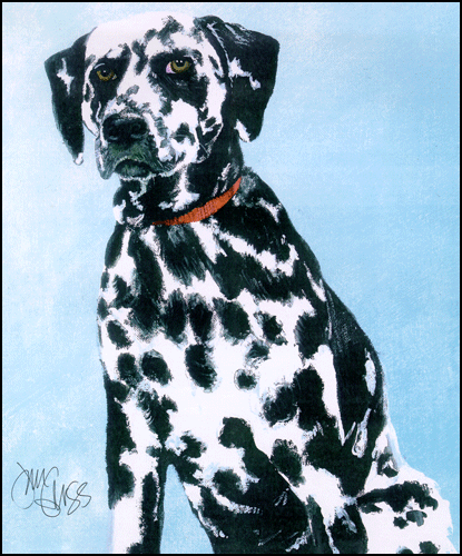 acrylic painting - dalmation