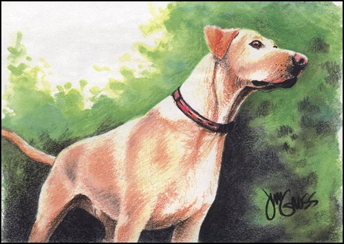 Watercolor and colored pencil