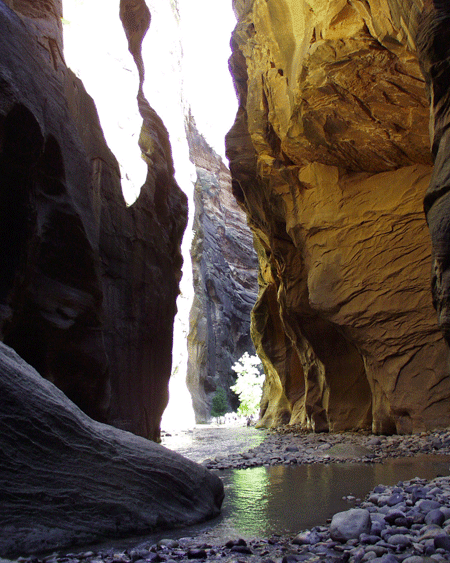 Narrows Hike, Zion National Park