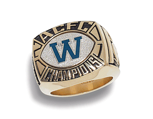 SMi Awards Ring Photo